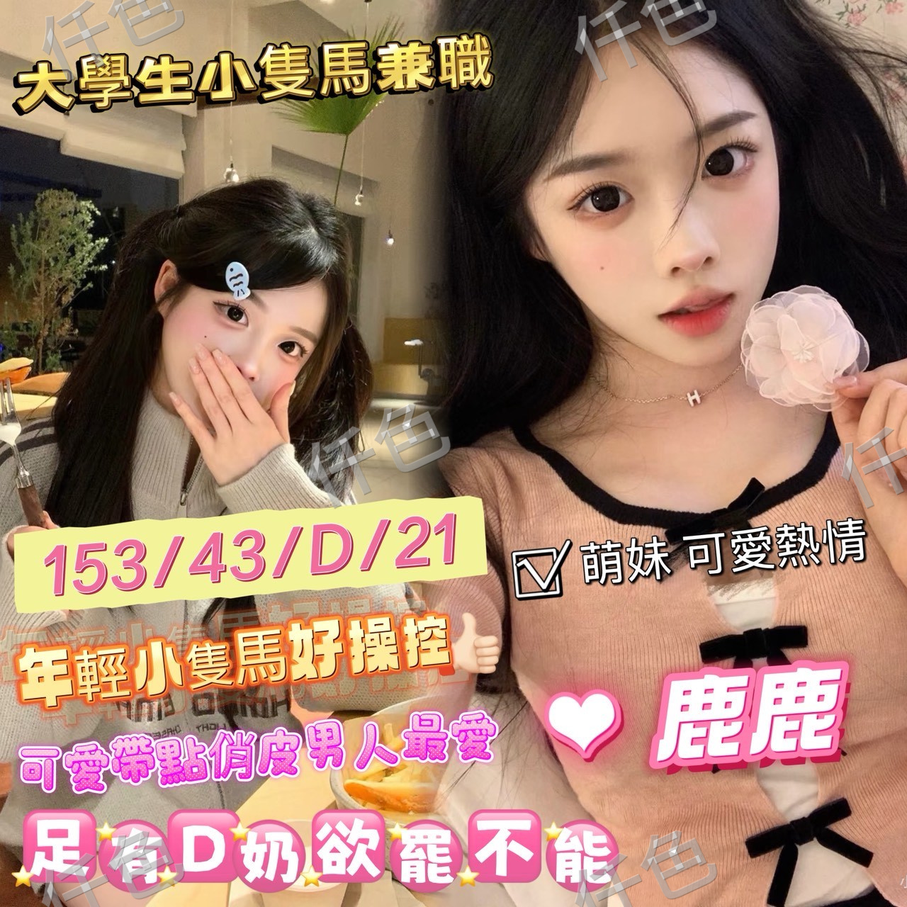 鹿鹿