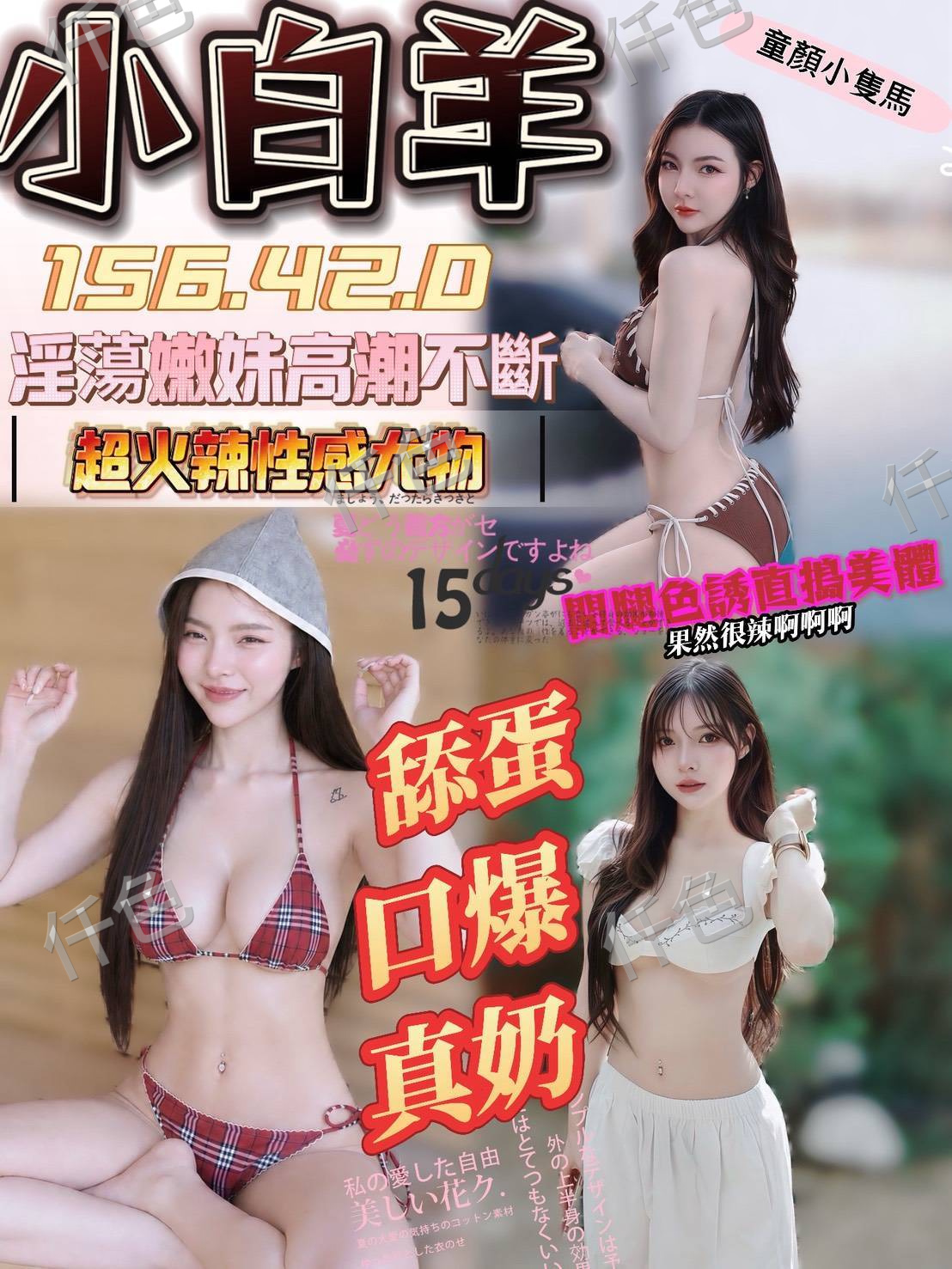 小白羊